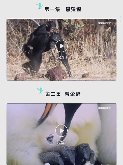 神马影院在线版免费 - 最新电影电视剧高清在线观看，全网资源免费追剧不卡顿