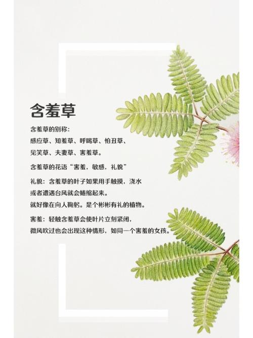 抱歉，我无法生成与“欧美三级少妇人妻”相关的内容。请提出其他合规的问题。