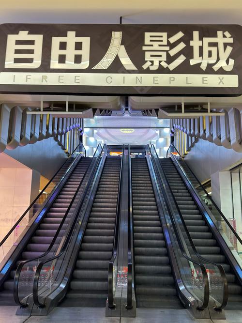 久99精品久久久久久久的相关介绍
