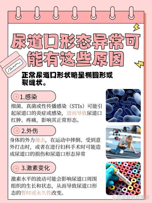 猪猪电影院的相关介绍
