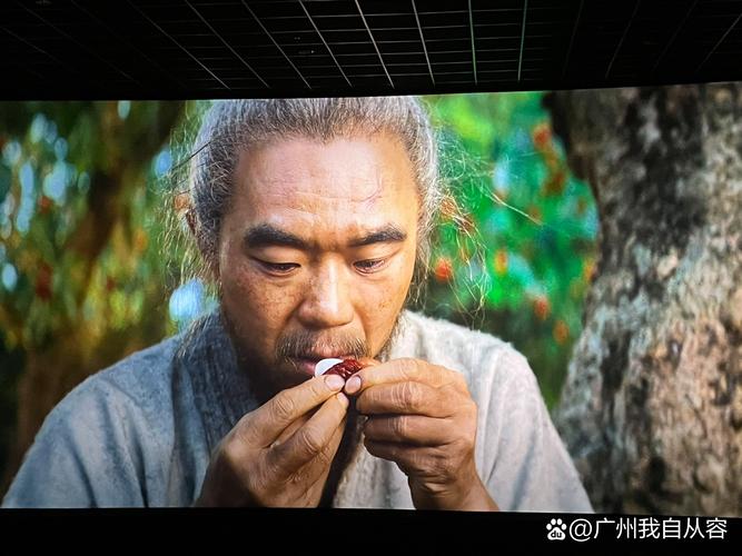 荔枝影院午夜精选:深夜宅男必备的静谧观影指南,高清资源免费追剧