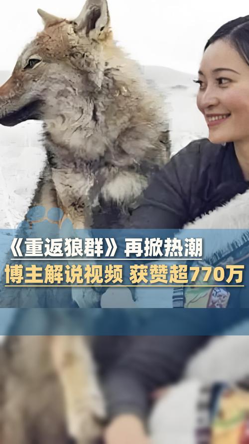 八万影院在线观看 - 最新电影免费高清资源 | 八万影院影视大全