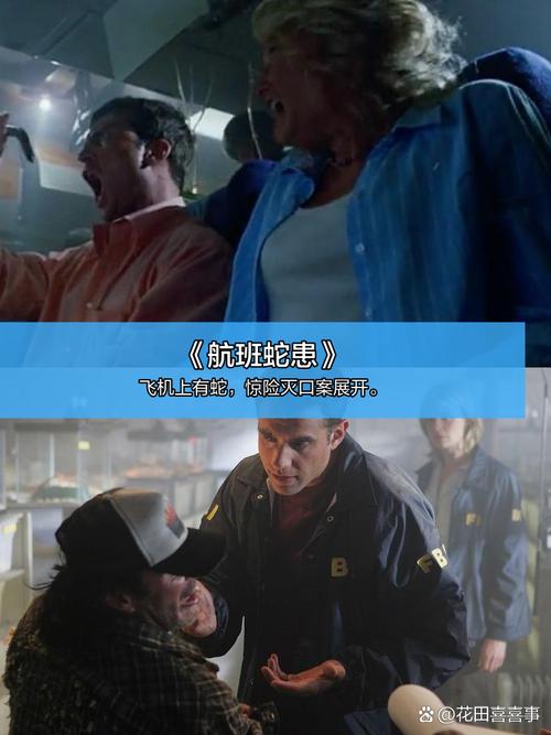 今日九方城电影院影讯一览（附场次时间+热门影片推荐+实时排片查询）