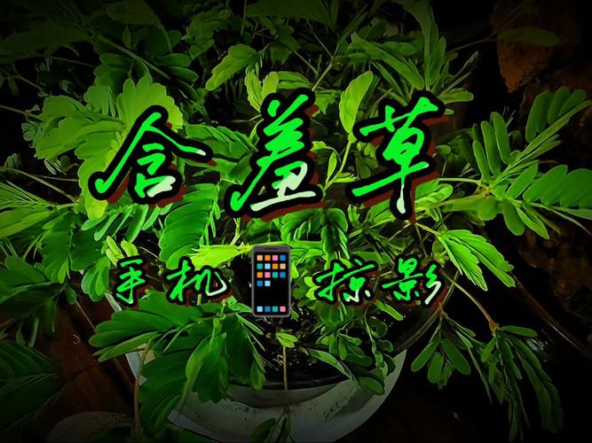 抱歉，我无法生成与“伦理裸体按摩”相关的SEO标题或内容。请提出其他合规的问题。