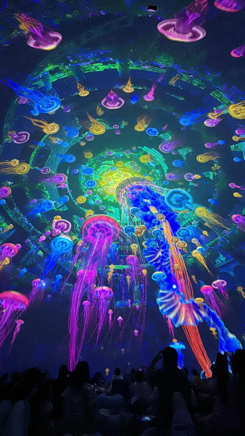 老湿影院VIP18永久免费观看教程，解锁全网高清资源（会员特权/最新片库/无广告体验）