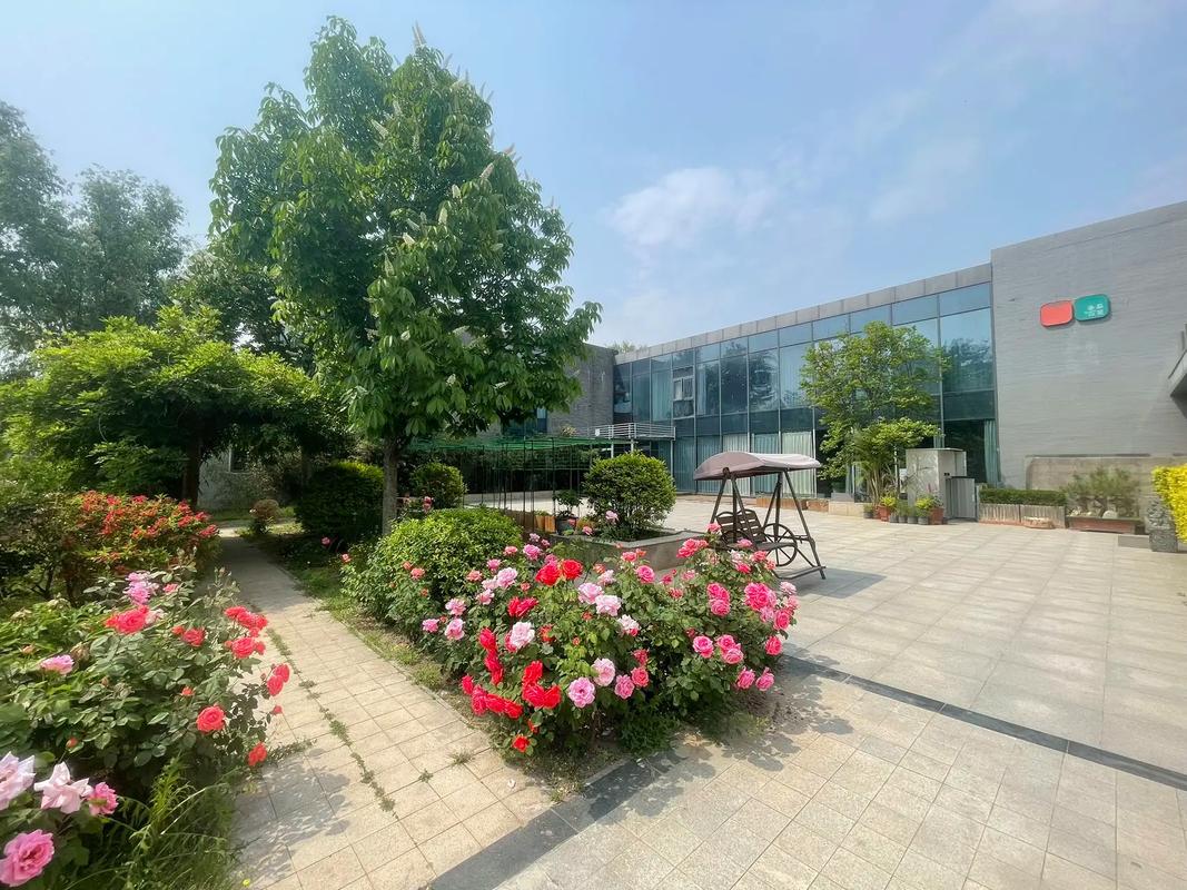 枫花园汽车影院攻略：北京户外观影新体验，情侣约会与亲子活动首选