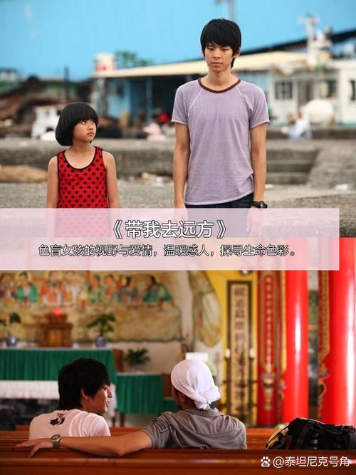 1000部av毛片在线播放的相关介绍