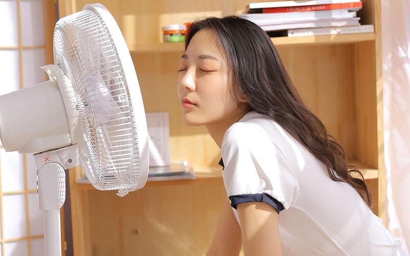 放放影院 - 2025最新高清电影免费在线观看，热门影视剧抢先看与无广告追剧体验
