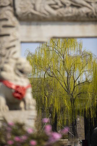 私人影院装修指南 | 家庭影院设计 | 隔音方案 | 个人影院效果图