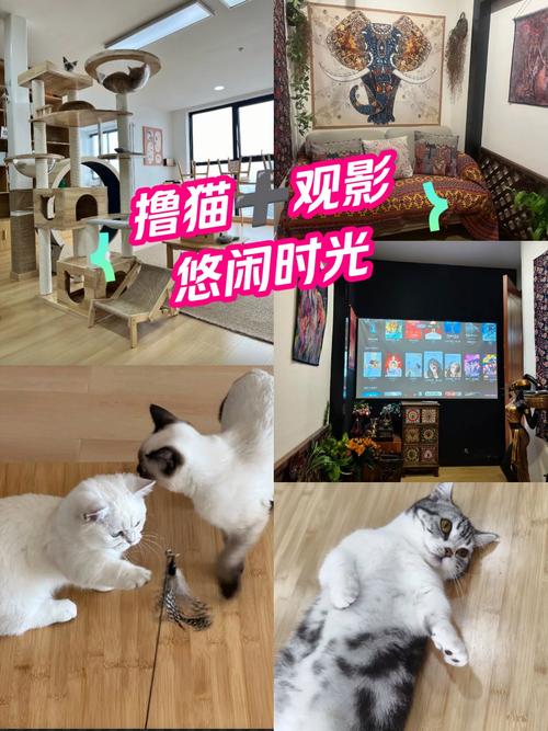 五福影院最新地址2025入口 | 永久域名防丢失 | 高清影视免费在线观看