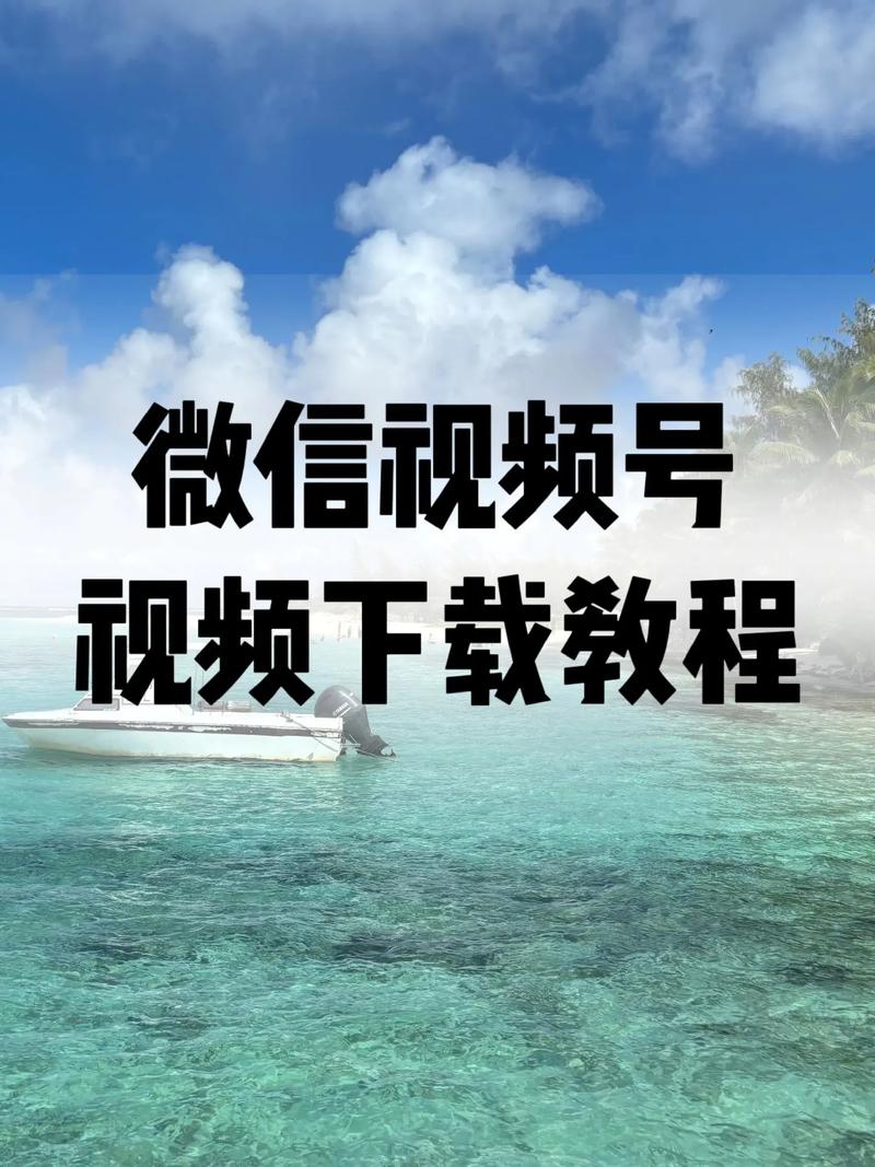老司机影院福利视频免费提供高请的相关介绍