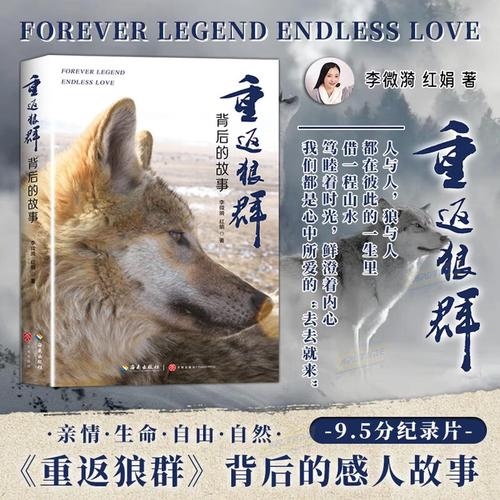 私人影院包场观影指南：情侣约会必去的私密空间推荐