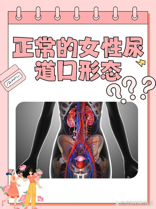 成都影院免费完整版的相关介绍