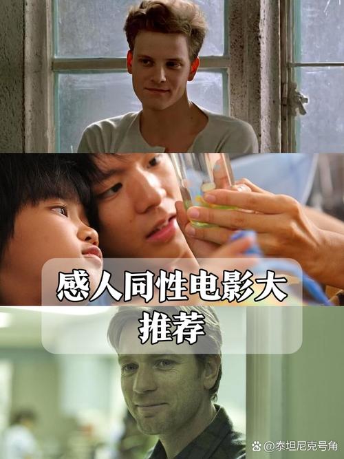 欧美日韩一区二区麻豆的相关介绍